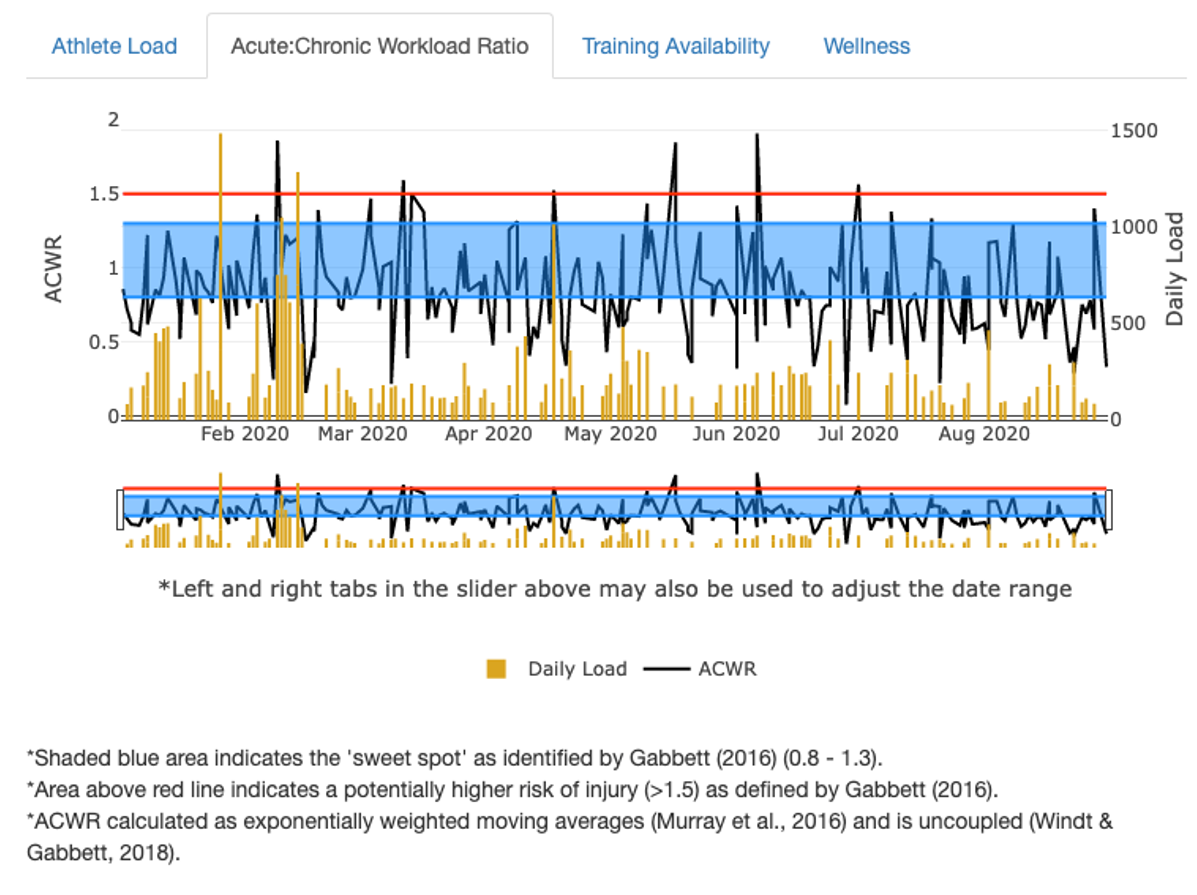 Figure 10.5 Screenshot of a web-based app developed to calculate acute to chronic workload ratios from RPE training load measures.