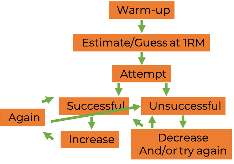 Figure 11.4 A basic one-repetition maximum protocol.