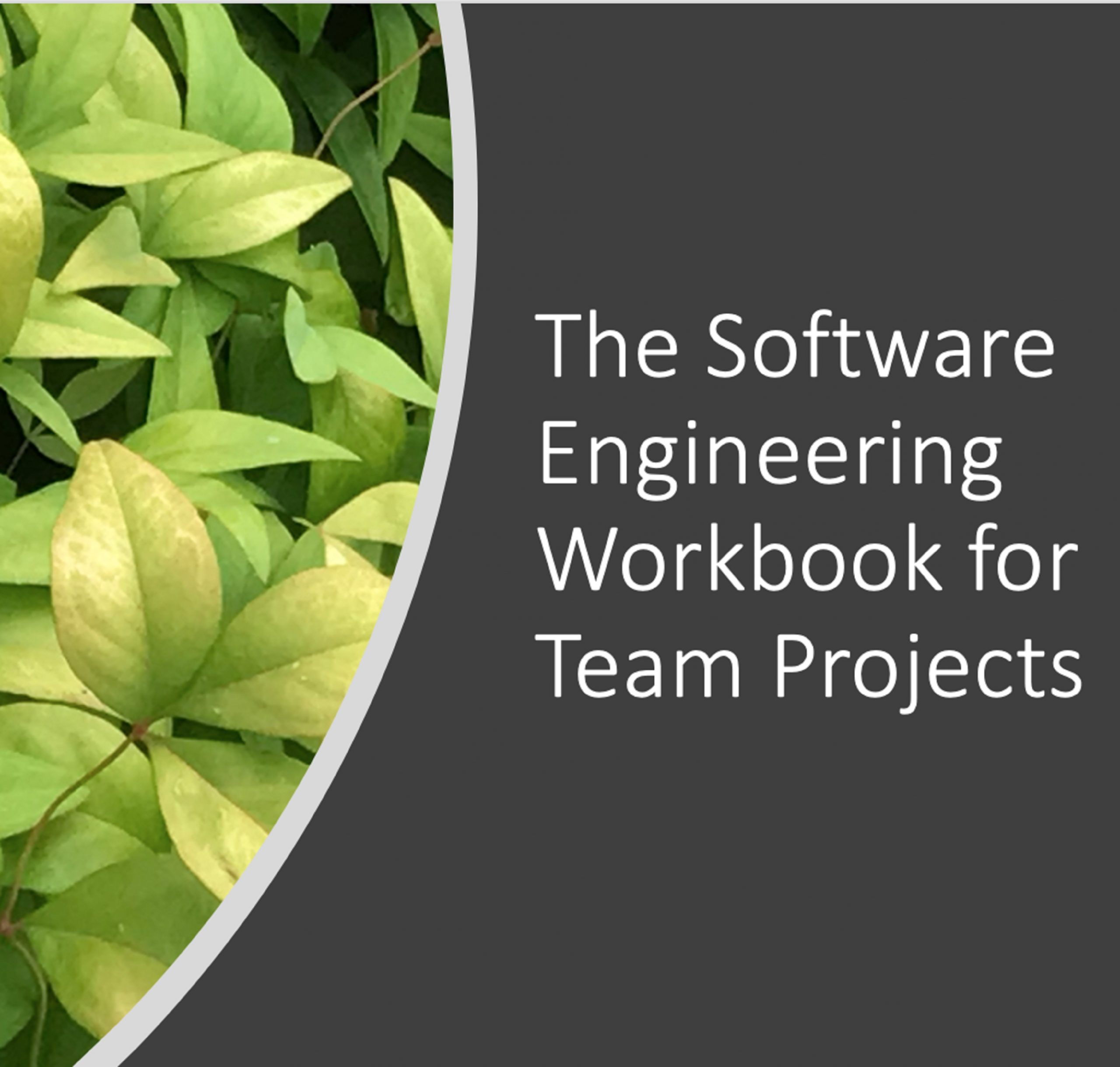 Cover image for The Software Engineering Workbook for Team Projects